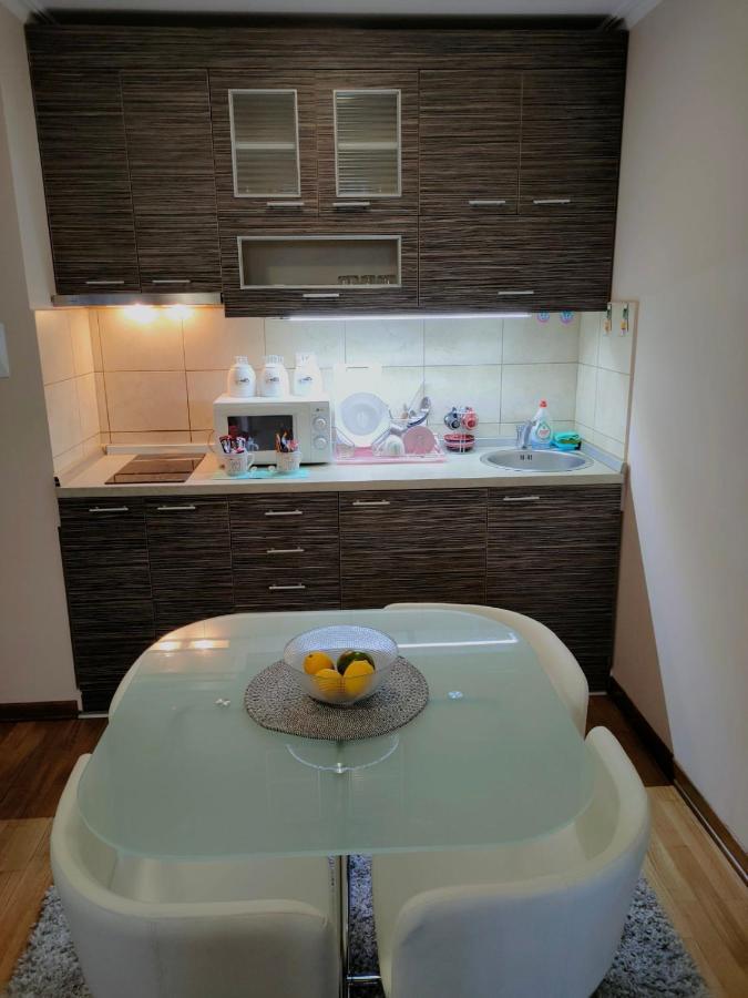 Apartman Jovanovic Vrnjačka Banja Εξωτερικό φωτογραφία