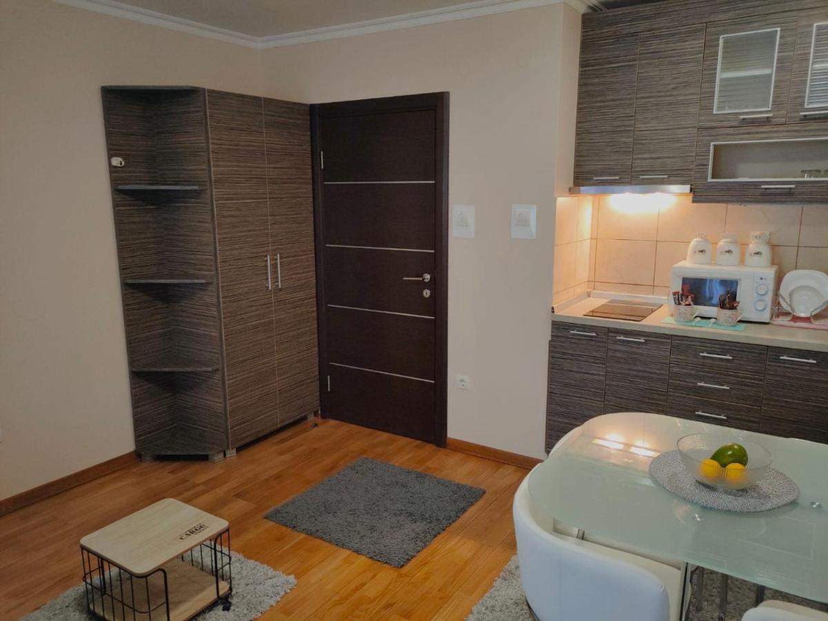 Apartman Jovanovic Vrnjačka Banja Εξωτερικό φωτογραφία